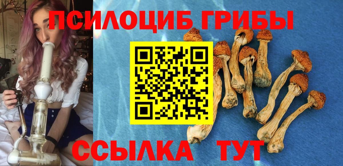 Саянск  Псилоцибиновые грибы Magic Shrooms  Вход с VPN  Псилоцибиновые грибы Magic Shrooms 